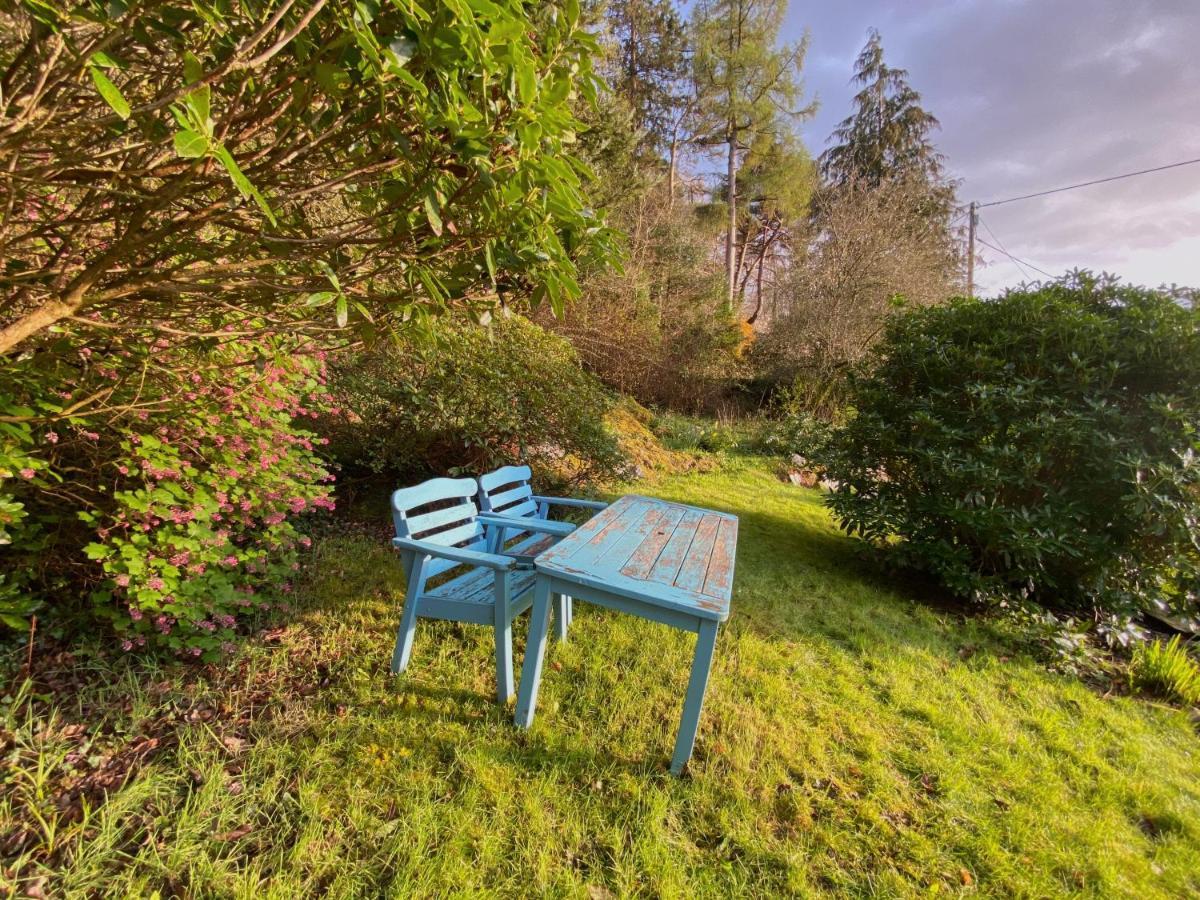 Tyn Y Fron 6 Bedroom House In Betws-Y-Coed Snowdonia Dış mekan fotoğraf