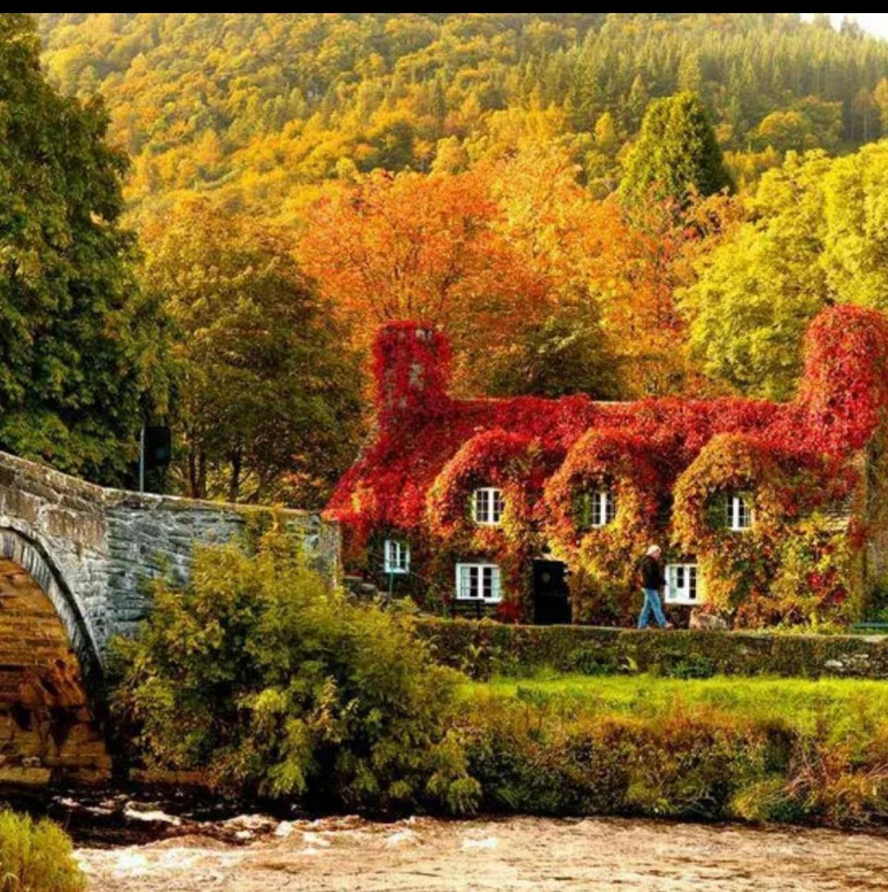 Tyn Y Fron 6 Bedroom House In Betws-Y-Coed Snowdonia Dış mekan fotoğraf